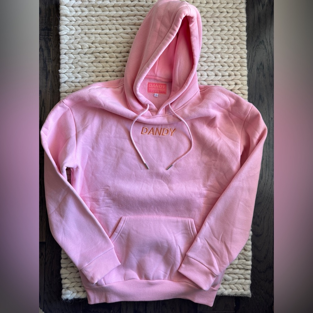 DANDY WORLDWIDE "Let's Watch the Sunset" Oversized Lux Hoodie Vintage PINK SMALL